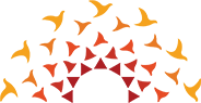 Birla International School Bhopal